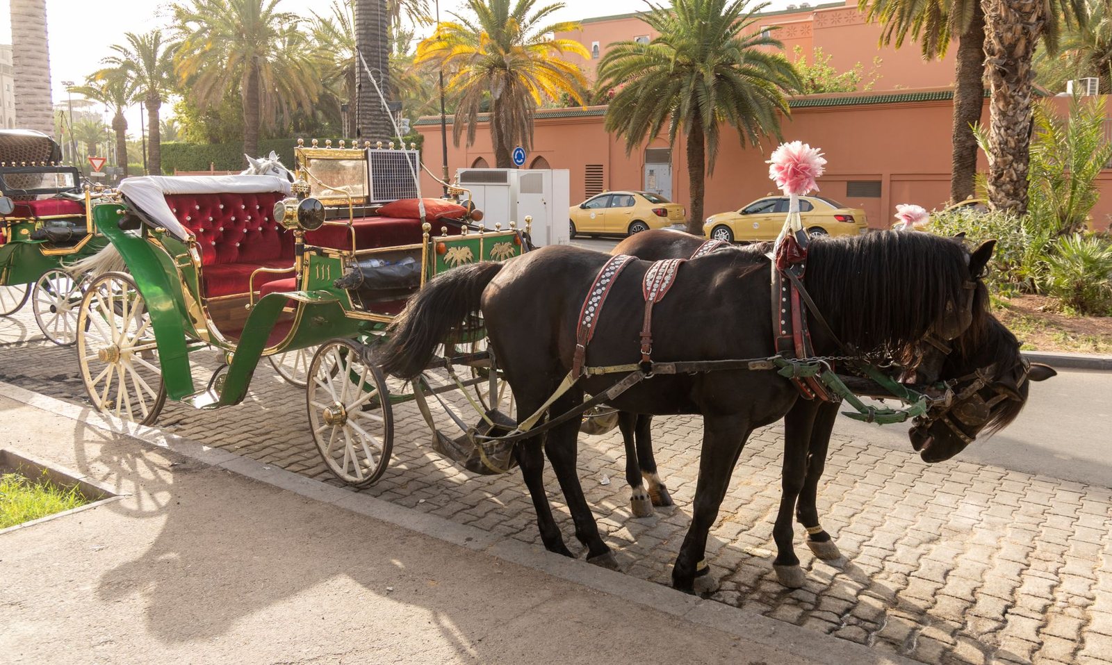 Horse-drawn carriages prepared for guests in Marrakech